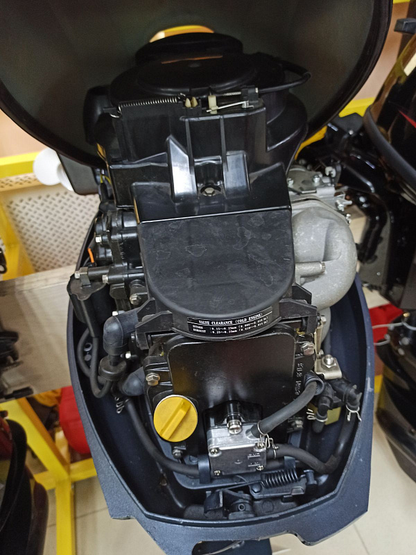 Лодочный мотор BREEZE F9,9S (4х тактный) в Боровичах