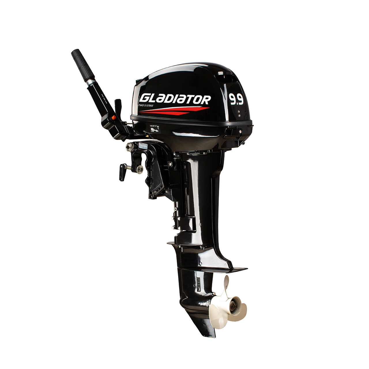 ЛОДОЧНЫЙ МОТОР GLADIATOR G9.9FHS в Боровичах