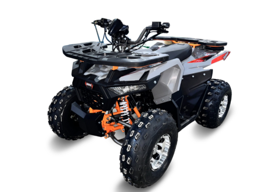 Квадроцикл GBM DAXTER 220 NEW PREMIUM в Боровичах