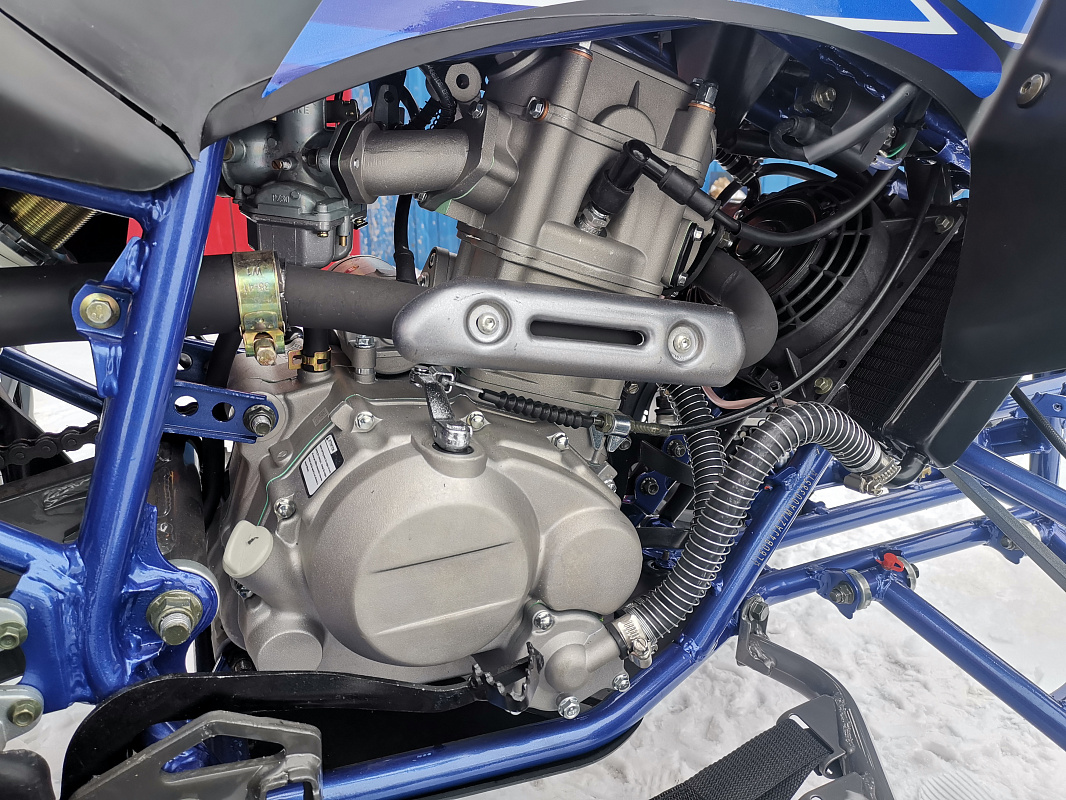 Квадроцикл PROMAX RAPTOR 300 NEW RedBull в Боровичах