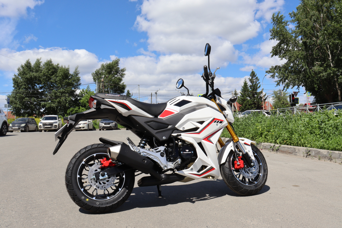 Мотоцикл PROMAX STRYKER 200(49) 2.0 в Боровичах