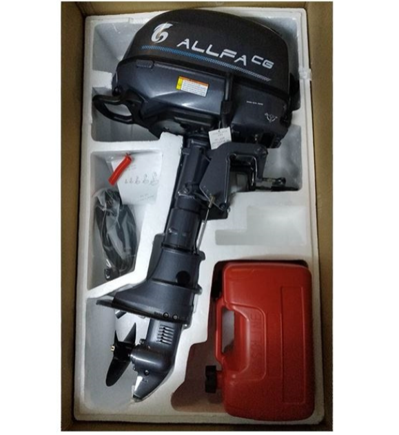 Лодочный мотор ALLFA CG F6 в Боровичах