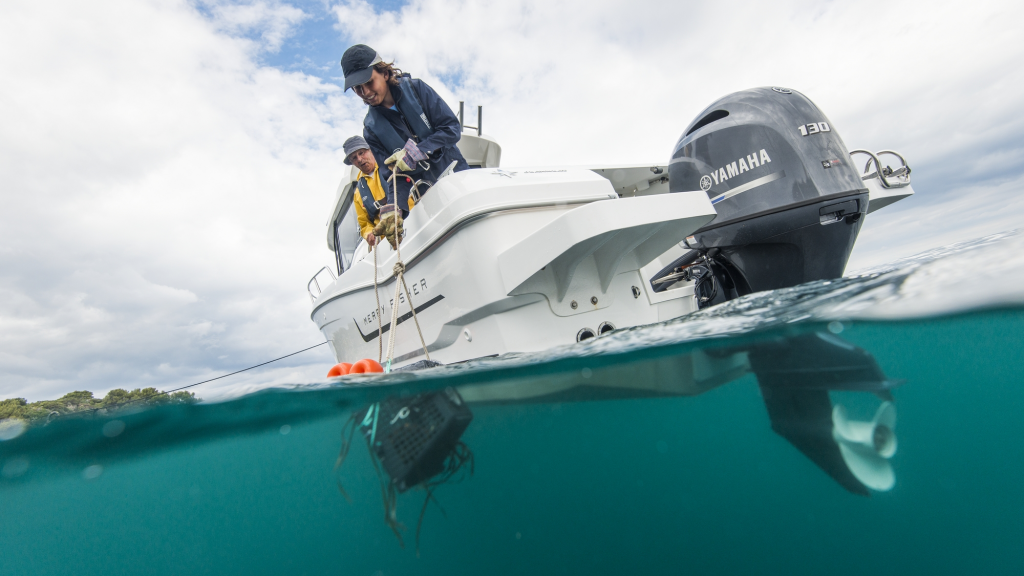 ЛОДОЧНЫЙ МОТОР YAMAHA F130 AETX в Боровичах