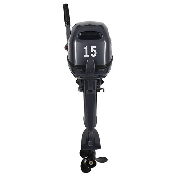 ЛОДОЧНЫЙ МОТОР ALLFA CG Т15 в Боровичах