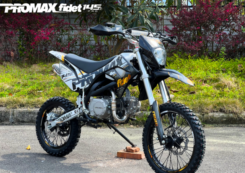 Мотоцикл (питбайк) PROMAX FIDET (ФАЙДЕТ) 145E PRO 17/14 в Боровичах