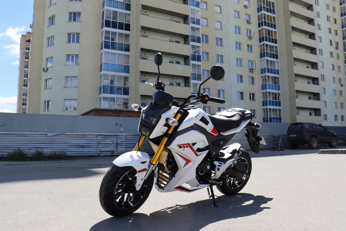 Мотоцикл PROMAX STRYKER 200(49) 2.0 в Боровичах