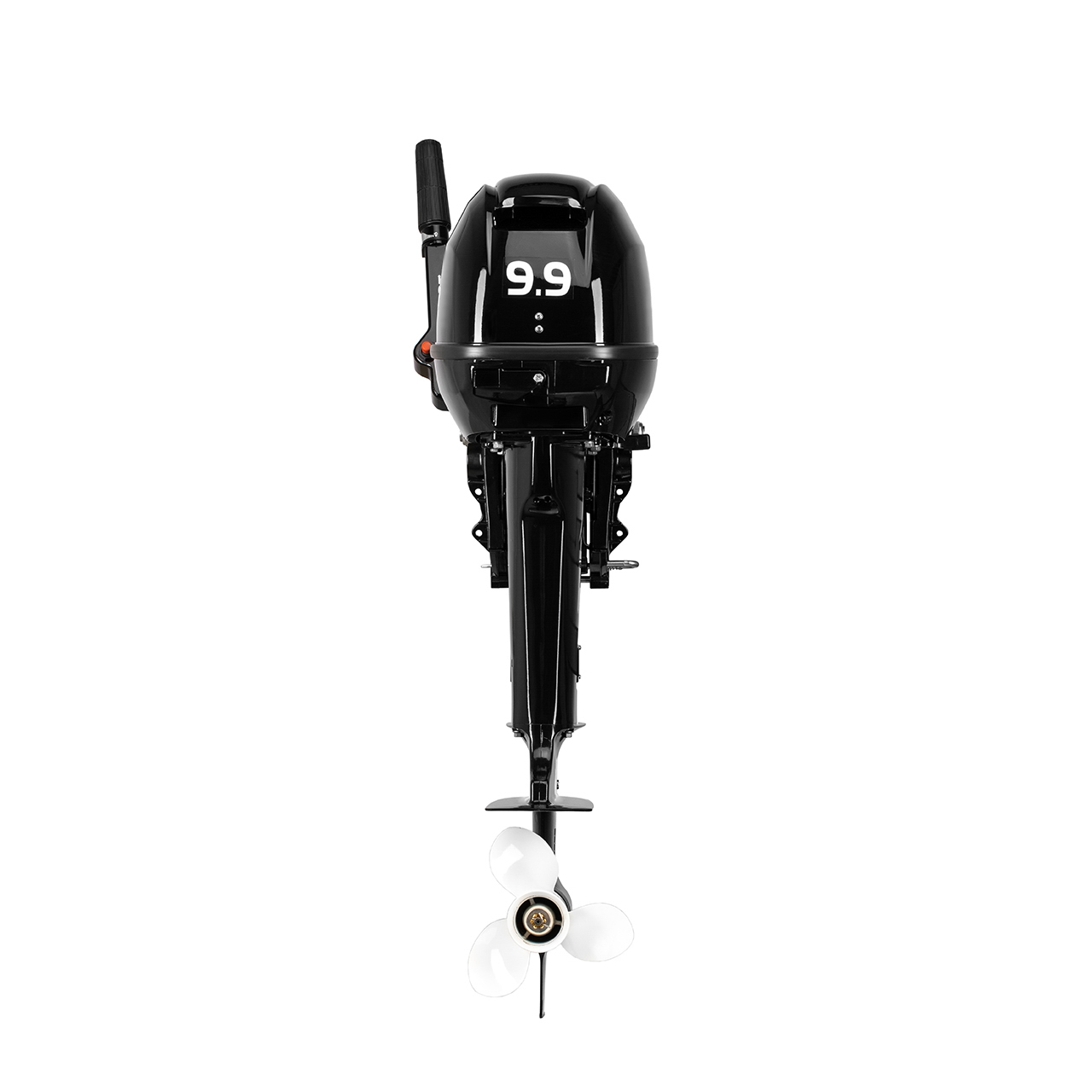 ЛОДОЧНЫЙ МОТОР GLADIATOR G9.9FHS в Боровичах