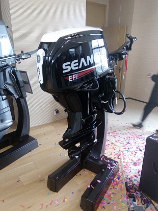 Лодочный мотор SEANOVO SN75FHL-D в Боровичах