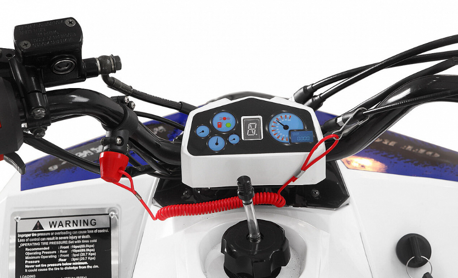 Квадроцикл Yacota Raposa 130 PRO-SPORT в Боровичах