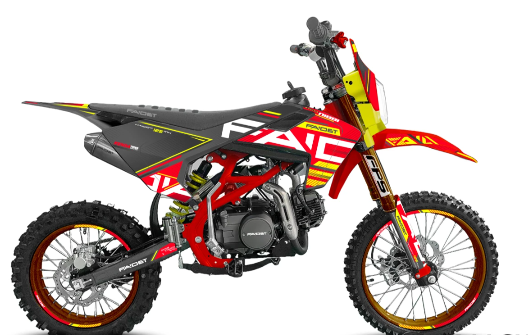 Питбайк FAIDET KAYOT 150E-PRO 17/14 в Боровичах