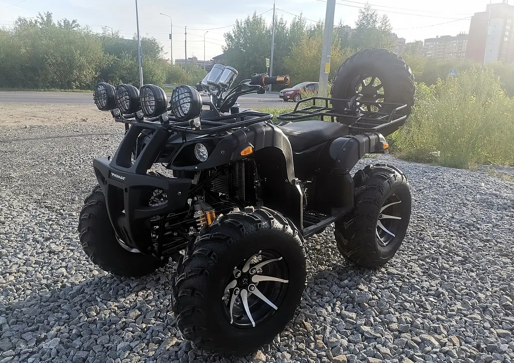 Квадроцикл PROMAX LEO 300 Max (кардан) в Боровичах