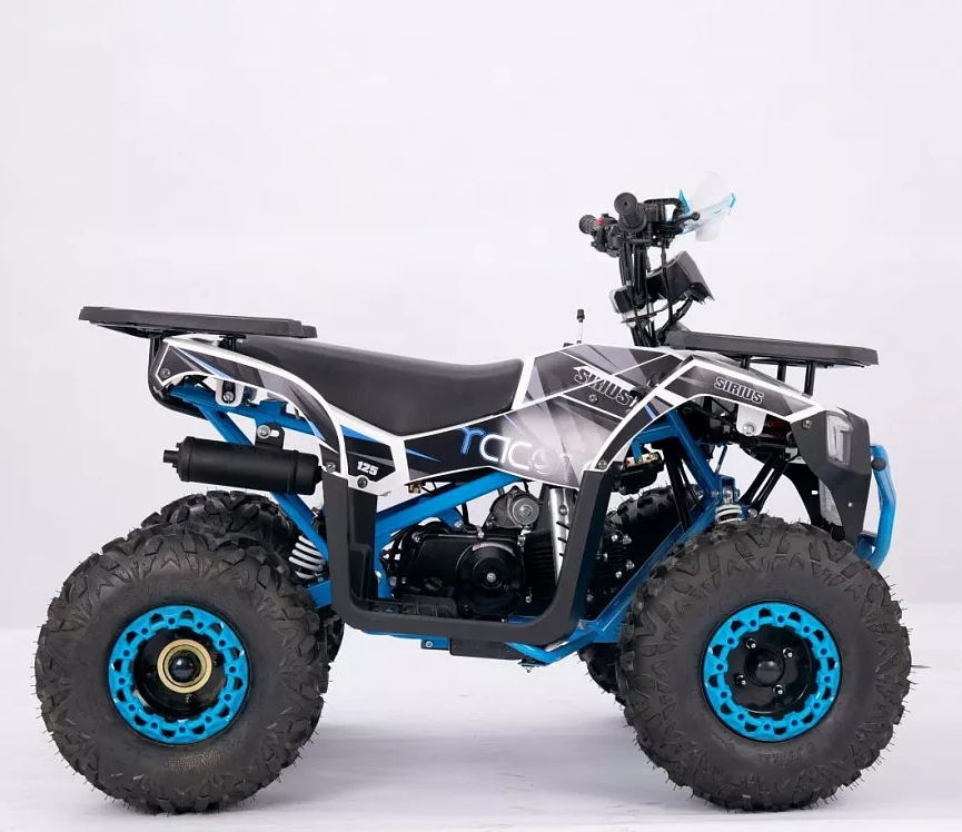 Квадроцикл YACOTA SIRIUS 110 в Боровичах