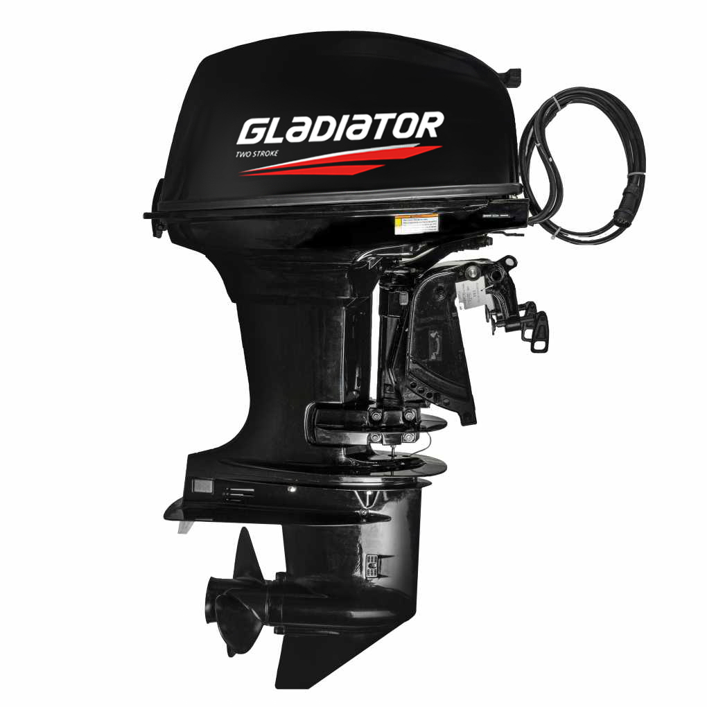 ЛОДОЧНЫЙ МОТОР GLADIATOR G30FES в Боровичах