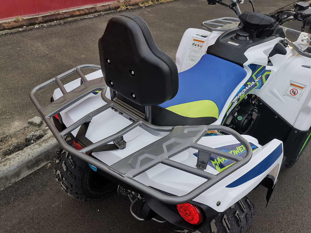 Квадроцикл PROMAX RENEGADE 280 LUX в Боровичах