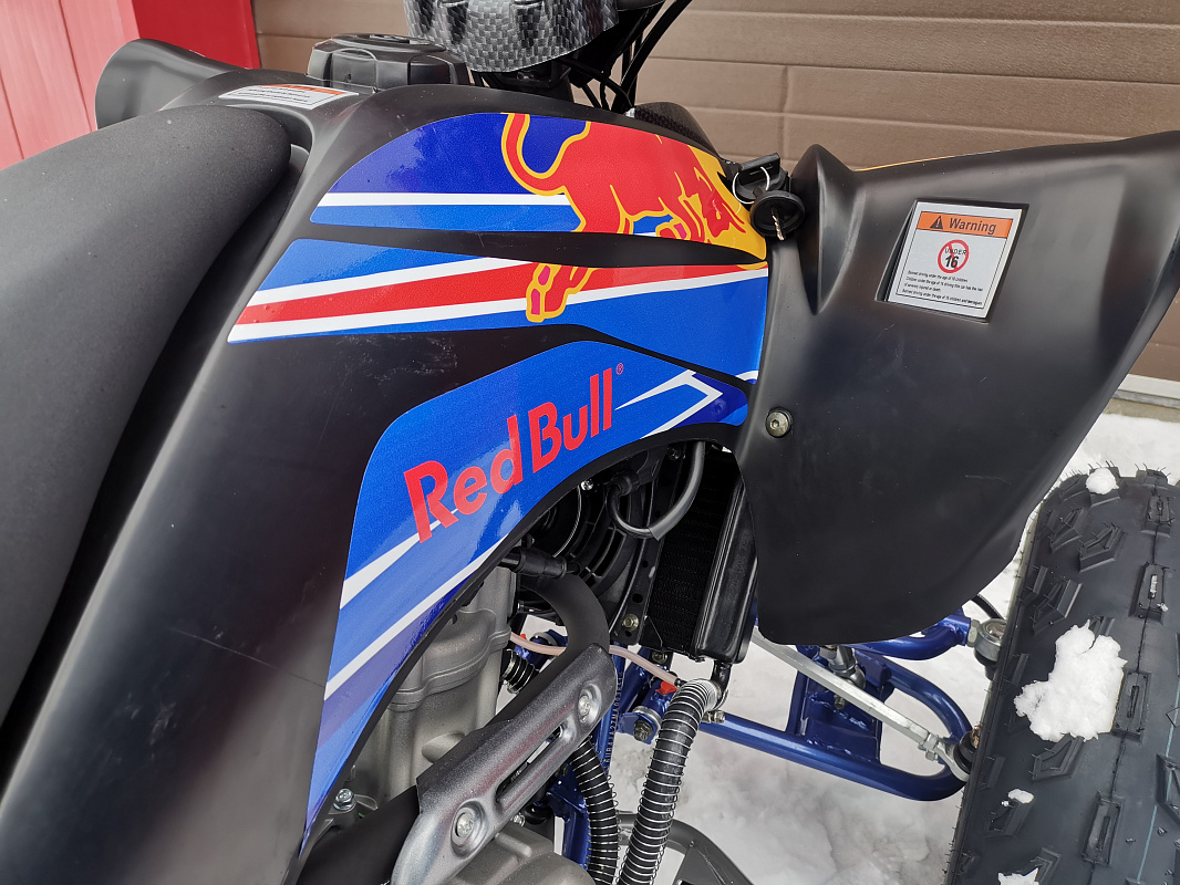 Квадроцикл PROMAX RAPTOR 300 NEW RedBull в Боровичах