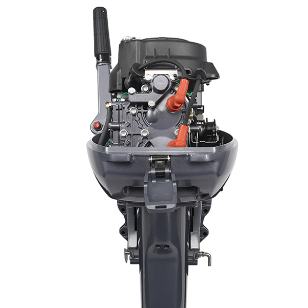 ЛОДОЧНЫЙ МОТОР ALLFA CG Т9,9 в Боровичах