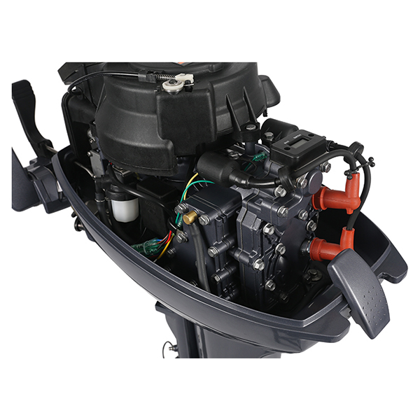 ЛОДОЧНЫЙ МОТОР ALLFA CG Т15 в Боровичах