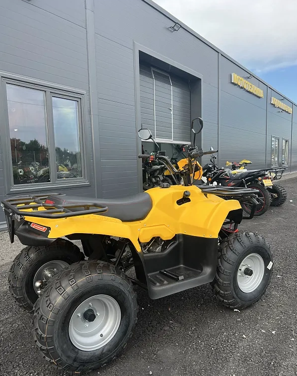 КВАДРОЦИКЛ IRBIS ATV 250  в Боровичах