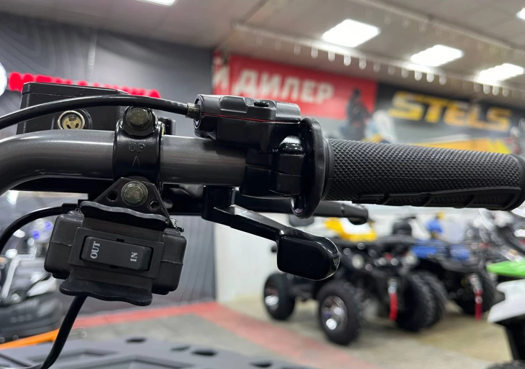 Квадроцикл PROMAX RENEGADE 320 LONG WINCH PRO (2025) в Боровичах