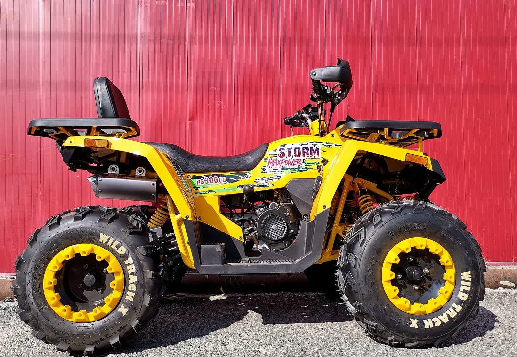 Квадроцикл PROMAX STORM 280 LUX в Боровичах