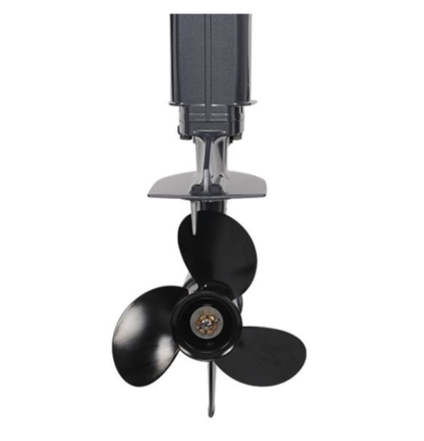 Лодочный мотор ALLFA CG Т40FW S в Боровичах