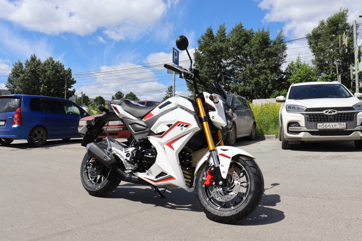 Мотоцикл PROMAX STRYKER 200(49) 2.0 в Боровичах