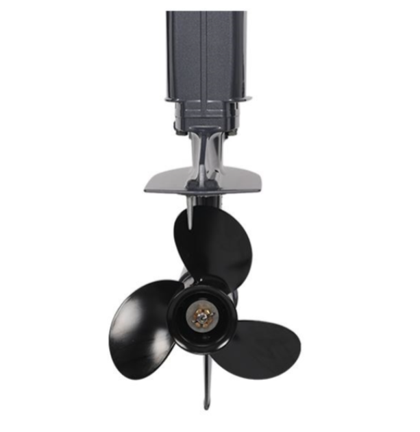 Лодочный мотор ALLFA CG Т40FWT S в Боровичах