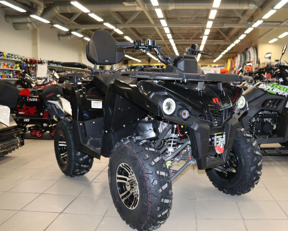Квадроцикл PROMAX RENEGADE 320 LONG WINCH PRO (2025) в Боровичах