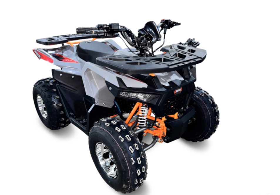 Квадроцикл GBM DAXTER 220 NEW PREMIUM в Боровичах