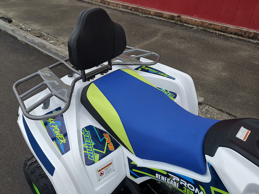 Квадроцикл PROMAX RENEGADE 280 LUX в Боровичах