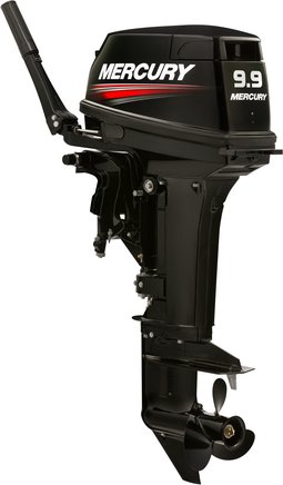 ЛОДОЧНЫЙ МОТОР MERCURY 9.9 MH TMC 247 CC в Боровичах