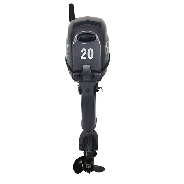 ЛОДОЧНЫЙ МОТОР ALLFA CG Т20 в Боровичах