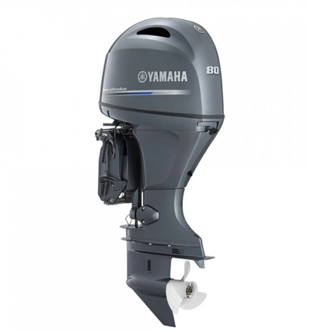 Лодочный мотор YAMAHA F80DETX в Боровичах