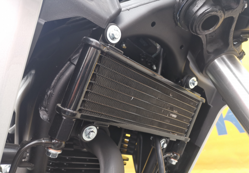 Мотоцикл MOTOLAND (МОТОЛЕНД) 250 CB250 (172FMM-5/PR250) (2022 г.) в Боровичах