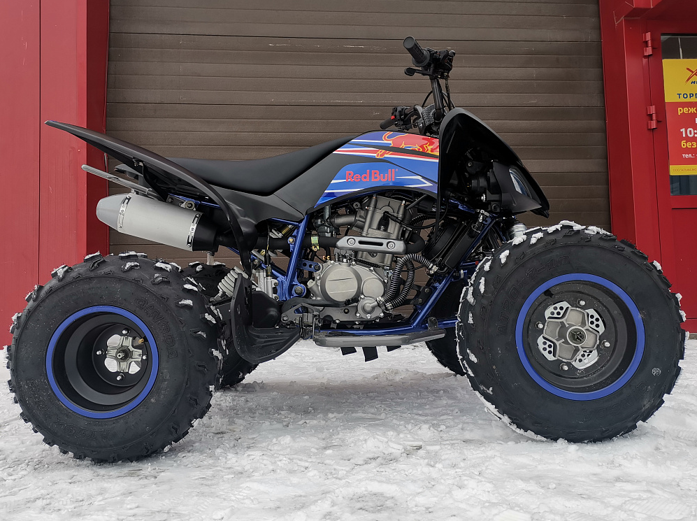 Квадроцикл PROMAX RAPTOR 300 NEW RedBull в Боровичах