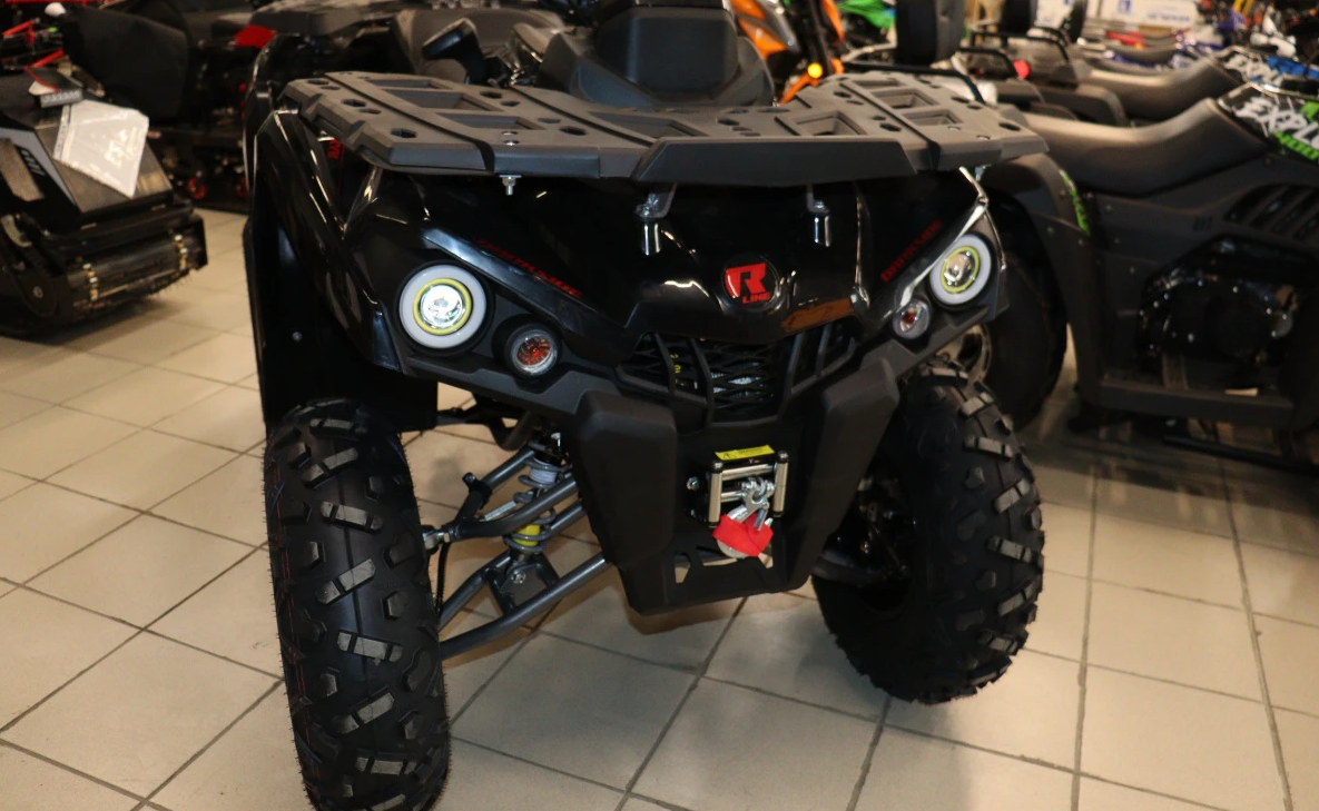 Квадроцикл PROMAX RENEGADE 320 LONG WINCH PRO (2025) в Боровичах
