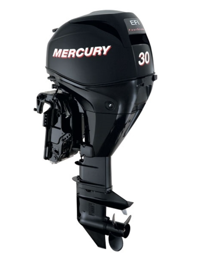 ЛОДОЧНЫЙ МОТОР MERCURY  F 30 ELH GA EFI в Боровичах