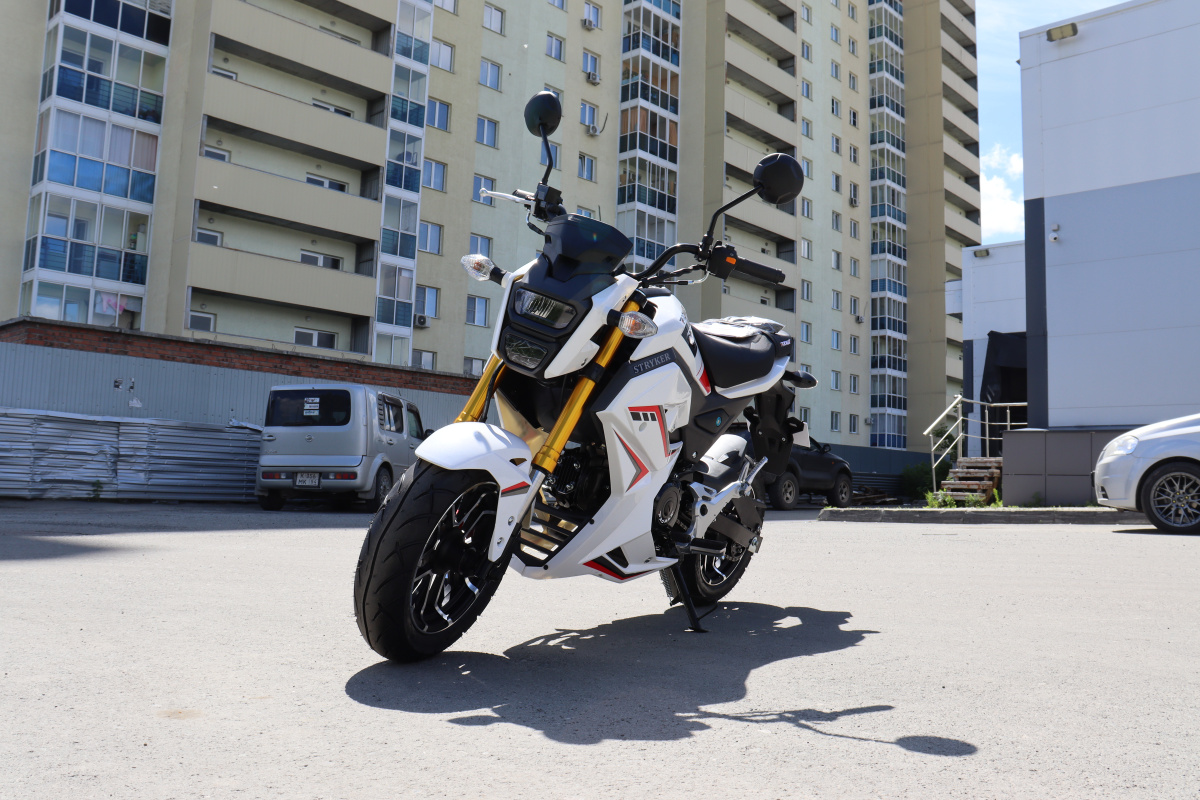 Мотоцикл PROMAX STRYKER 200(49) 2.0 в Боровичах