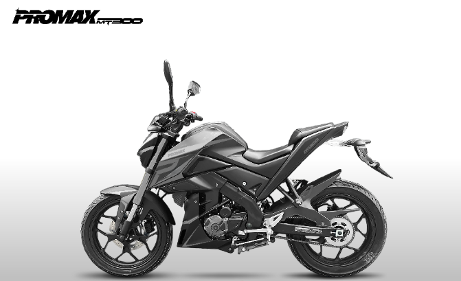 Мотоцикл PROMAX MT300 в Боровичах