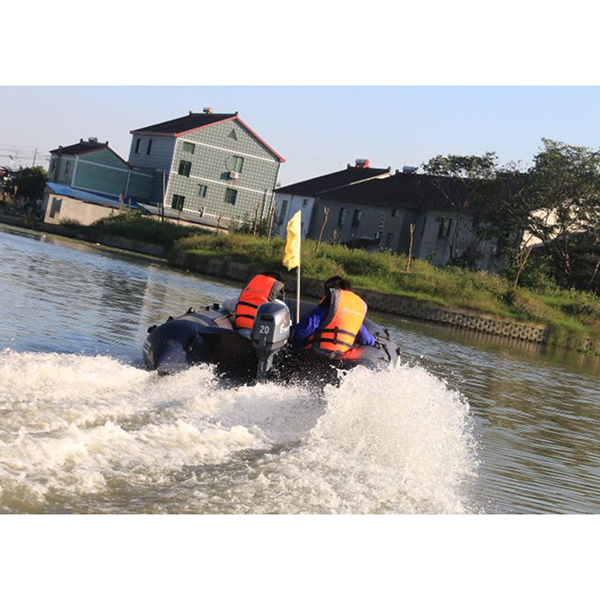 ЛОДОЧНЫЙ МОТОР ALLFA CG Т20 в Боровичах