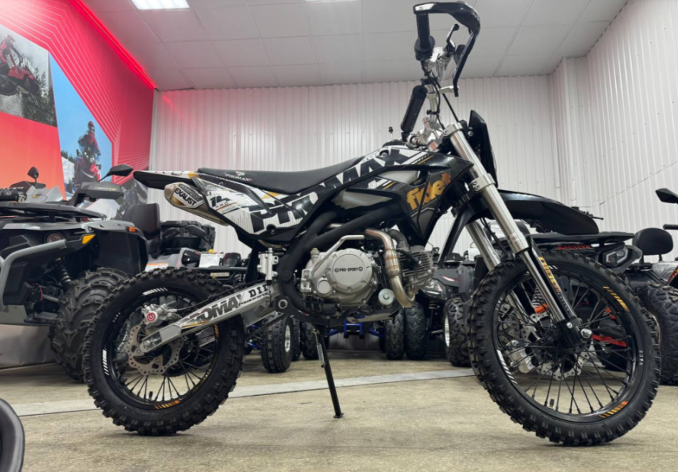 Мотоцикл (питбайк) PROMAX FIDET (ФАЙДЕТ) 145E PRO 17/14 в Боровичах