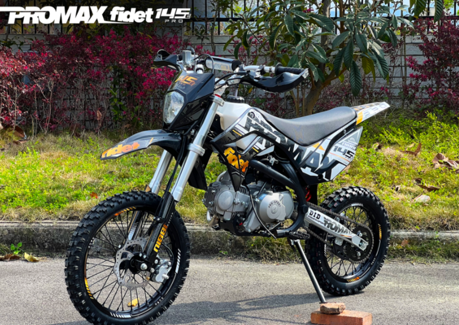 Мотоцикл (питбайк) PROMAX FIDET (ФАЙДЕТ) 145E PRO 17/14 в Боровичах