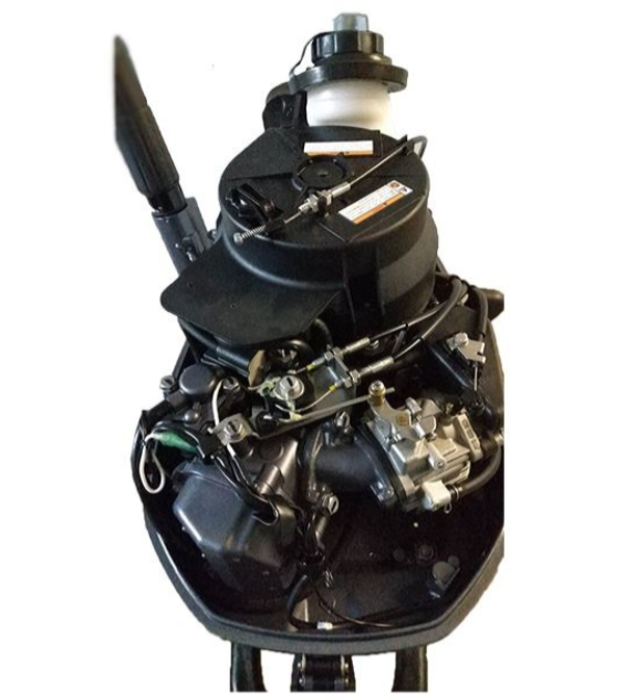 Лодочный мотор ALLFA CG F6 в Боровичах