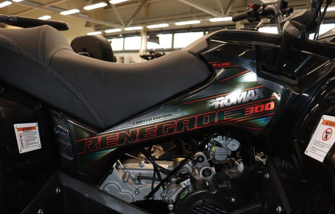 Квадроцикл PROMAX RENEGADE 320 LONG WINCH PRO (2025) в Боровичах