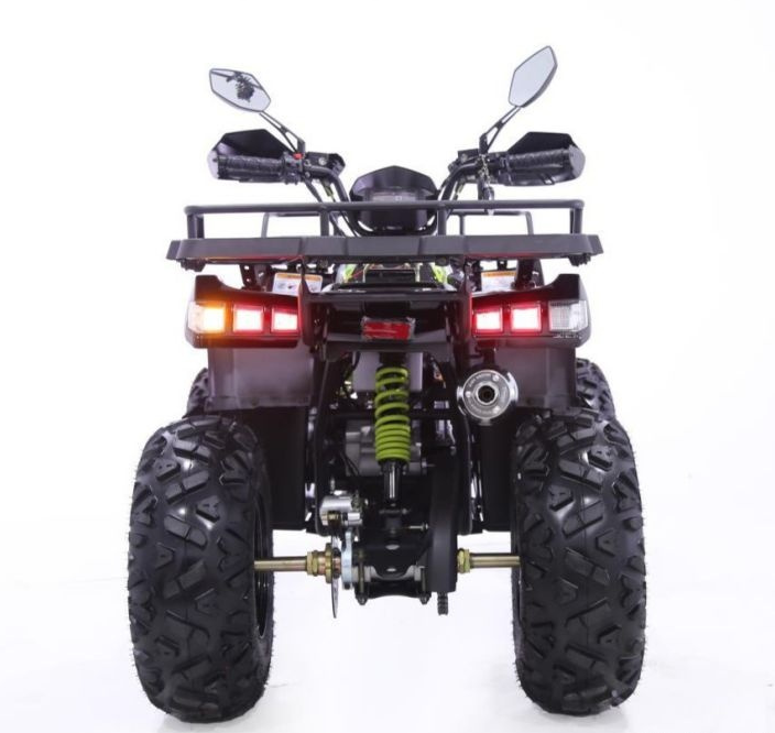 Квадроцикл YACOTA WARRIOR 200 PRO в Боровичах