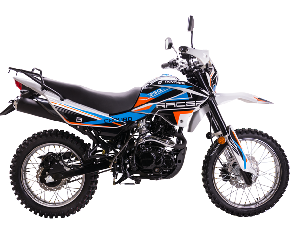 Мотоцикл Racer RC250GY-C2 Panther в Боровичах