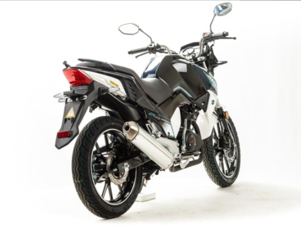 Мотоцикл MOTOLAND (МОТОЛЕНД) FIGHTER 250 в Боровичах