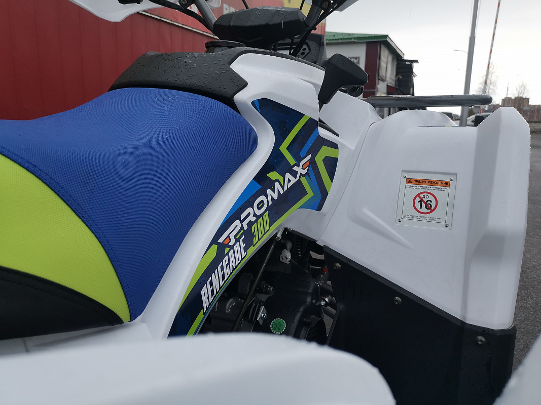 Квадроцикл PROMAX RENEGADE 280 LUX в Боровичах