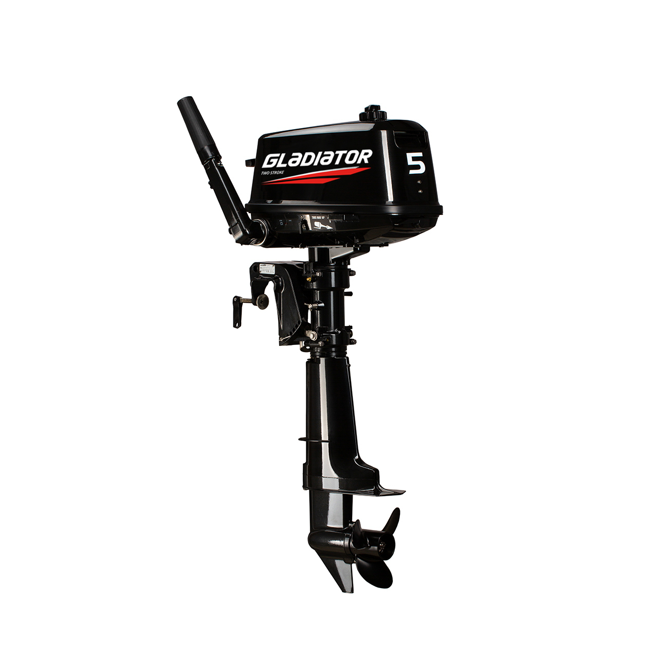 ЛОДОЧНЫЙ МОТОР GLADIATOR G5FHS в Боровичах