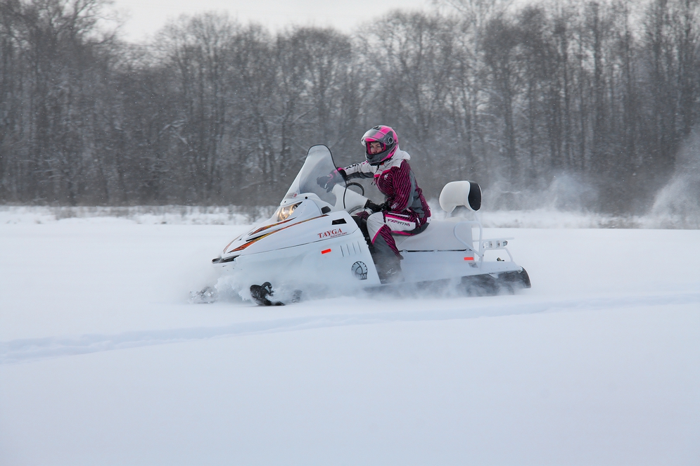 Снегоход Русская механика РМ TAYGA PATRUL 551 SWT в Боровичах